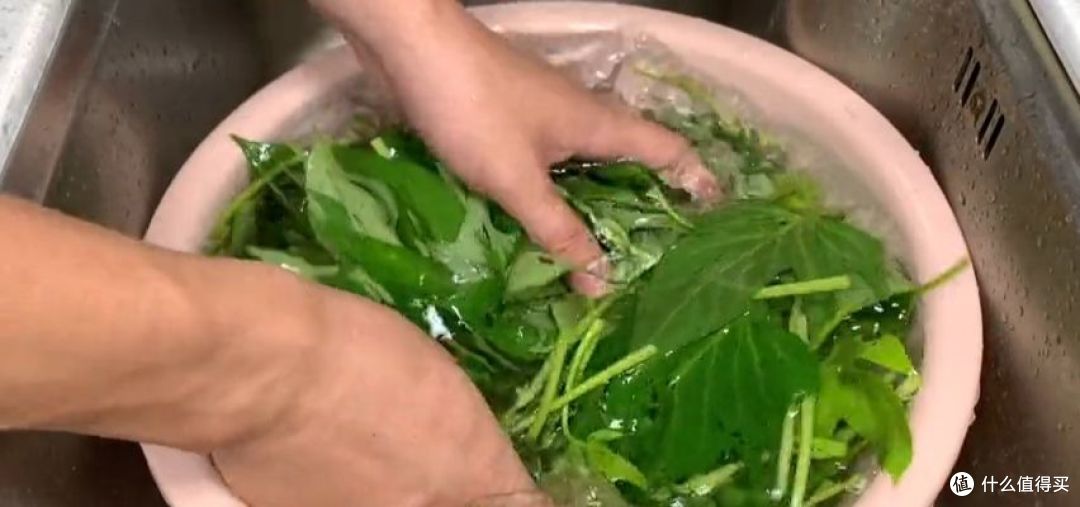 这道“蒜蓉炒红薯叶”看似简单,其实做起来也是个技术活