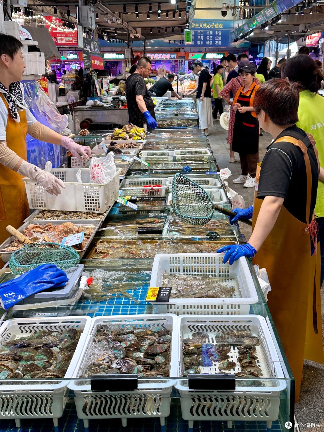 青岛海鲜价格一览!青岛旅游吃海鲜喝啤酒,让你“心中有数”!