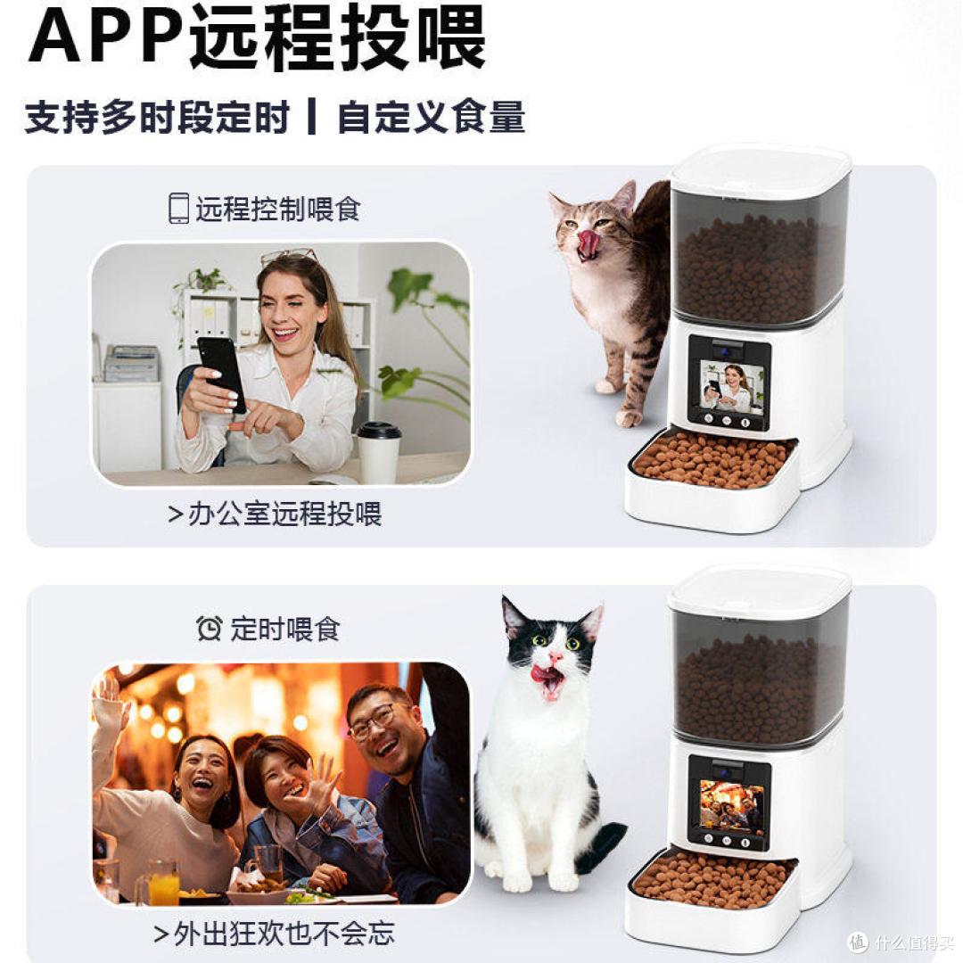 出差三天,猫主子不仅没饿着,还跟我视频通话了!这喂食器太会了