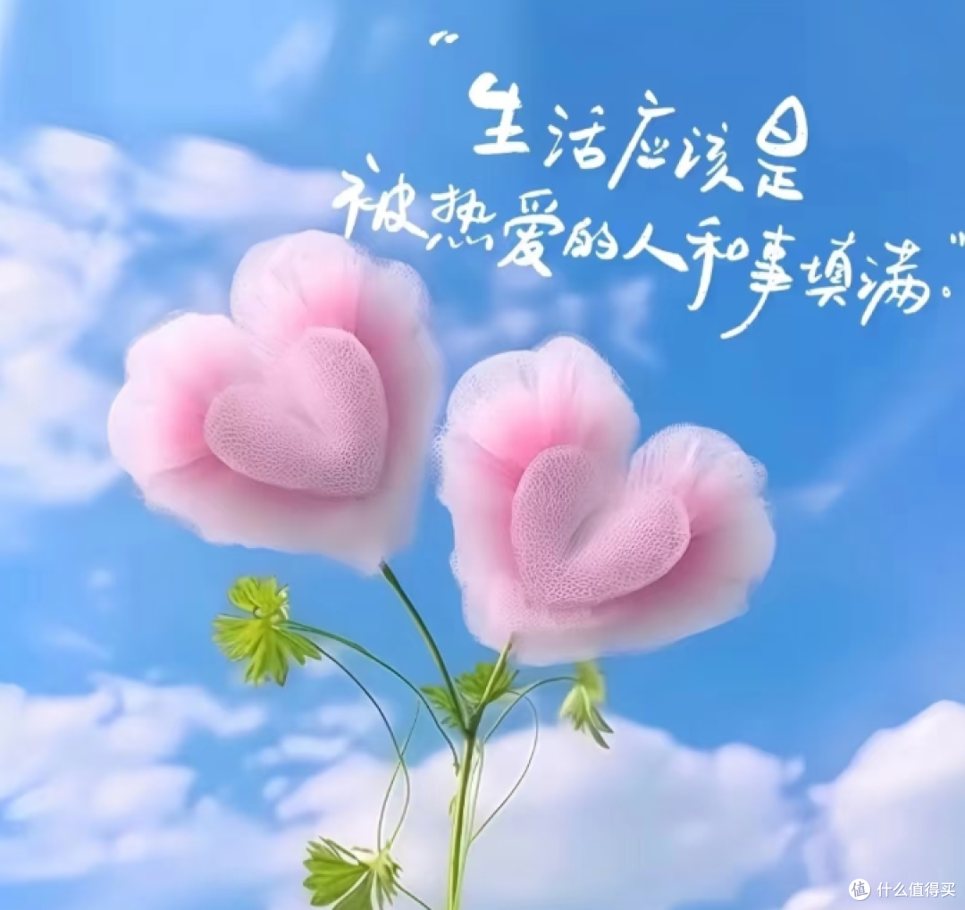 我理解的幸福，其实特别小🥺
