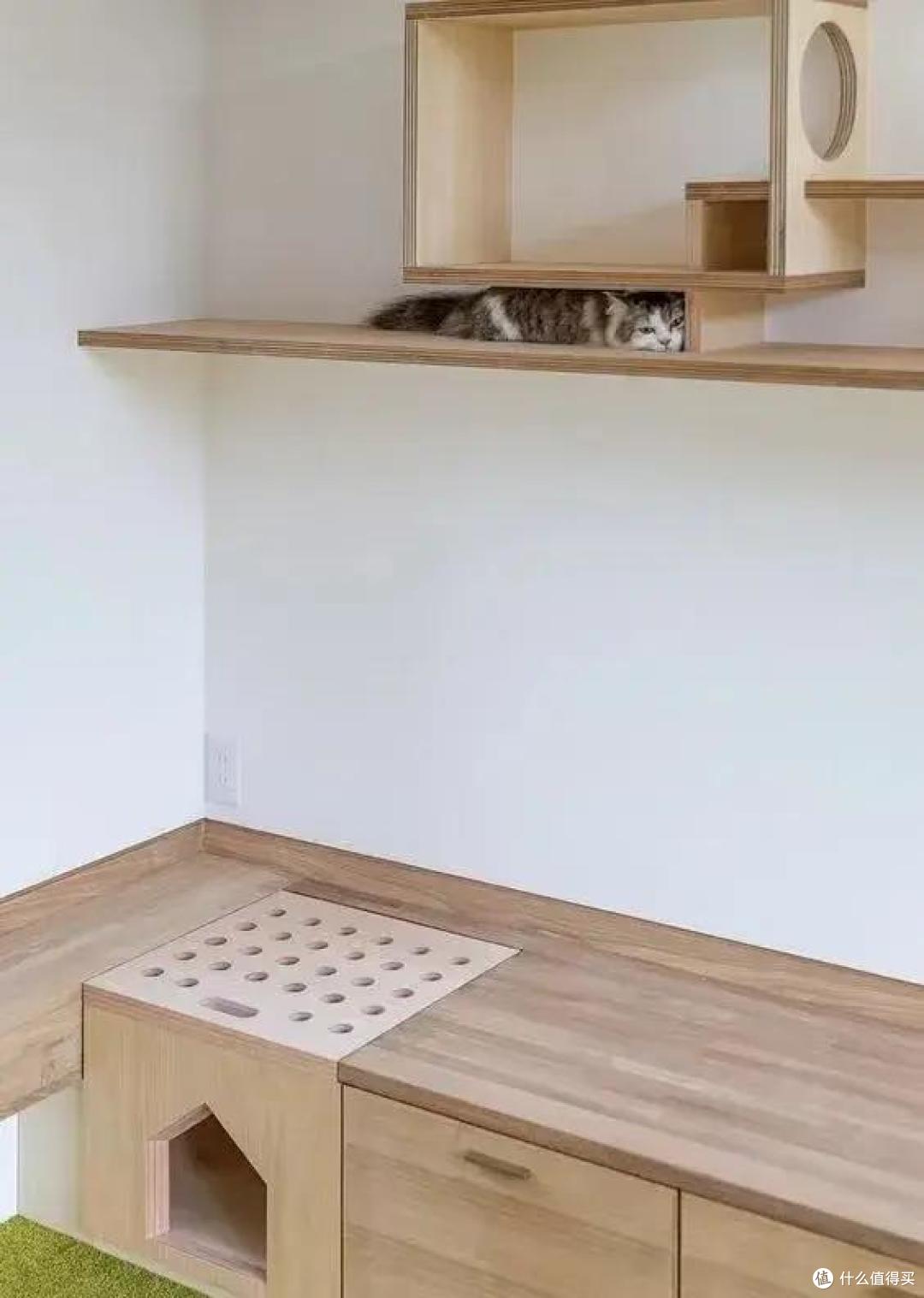 家里猫狗总挡路、乱闯厨房?优化全屋动线,居家整洁又安全