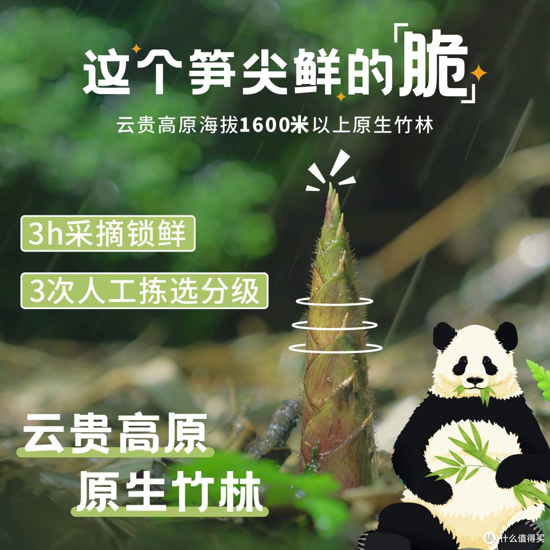 减脂期嘴馋怎么办?这个泡椒笋尖让我一口气炫了10包,还没负罪感