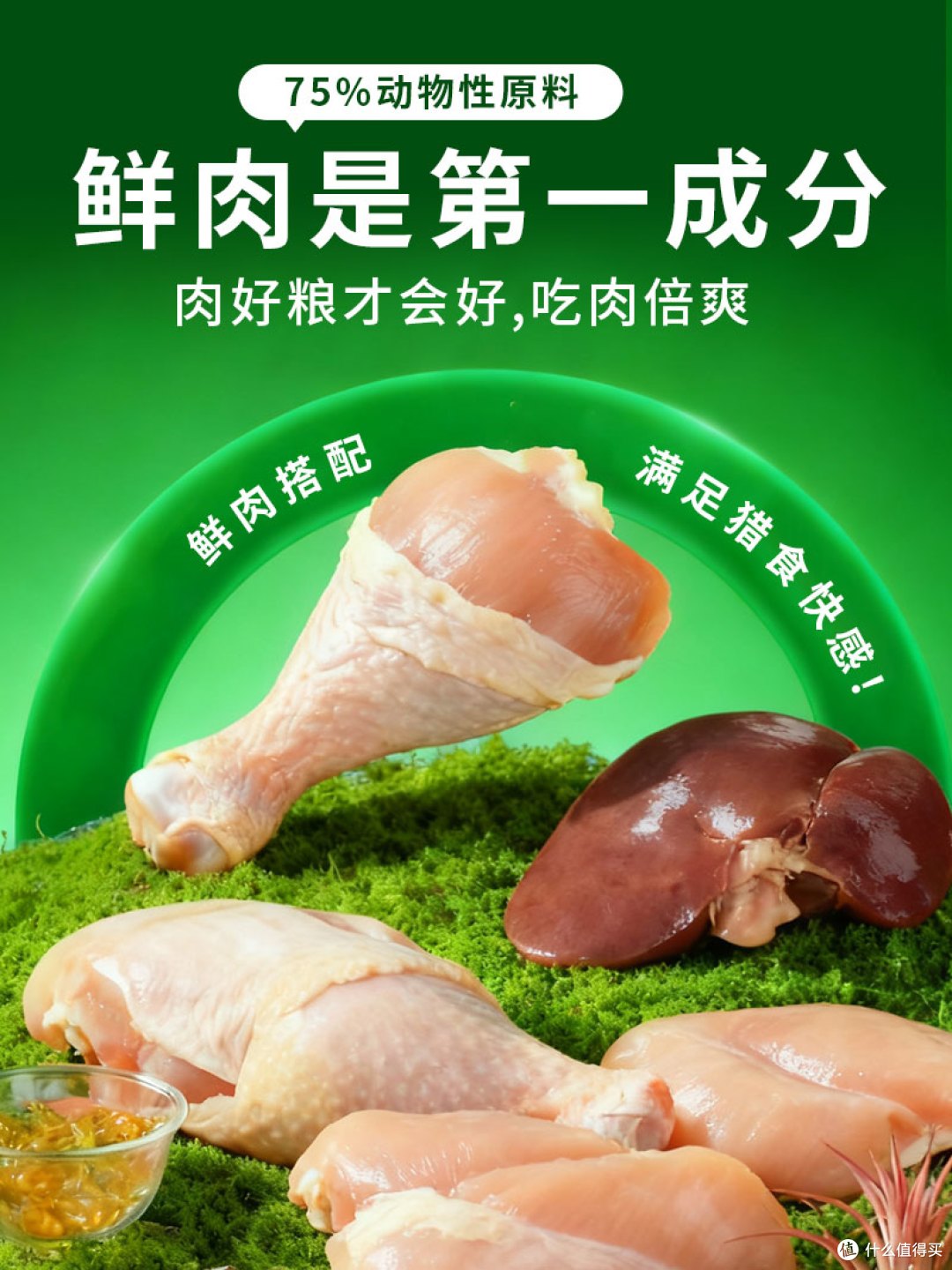 2026 宠物零食选购避坑指南：教你避开 5 个常见陷阱