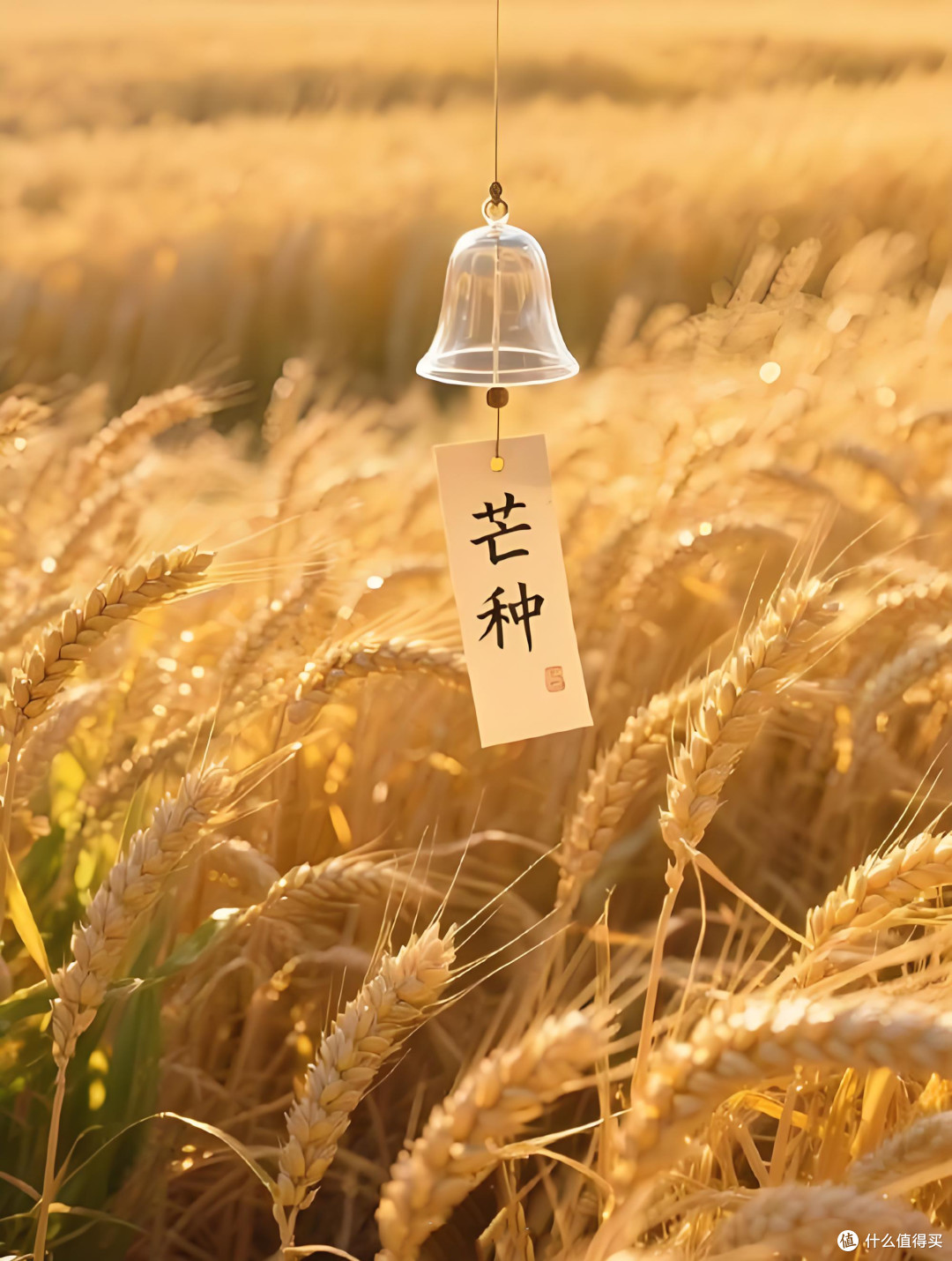芒种连端午 艾续万年火种,香传千载文脉