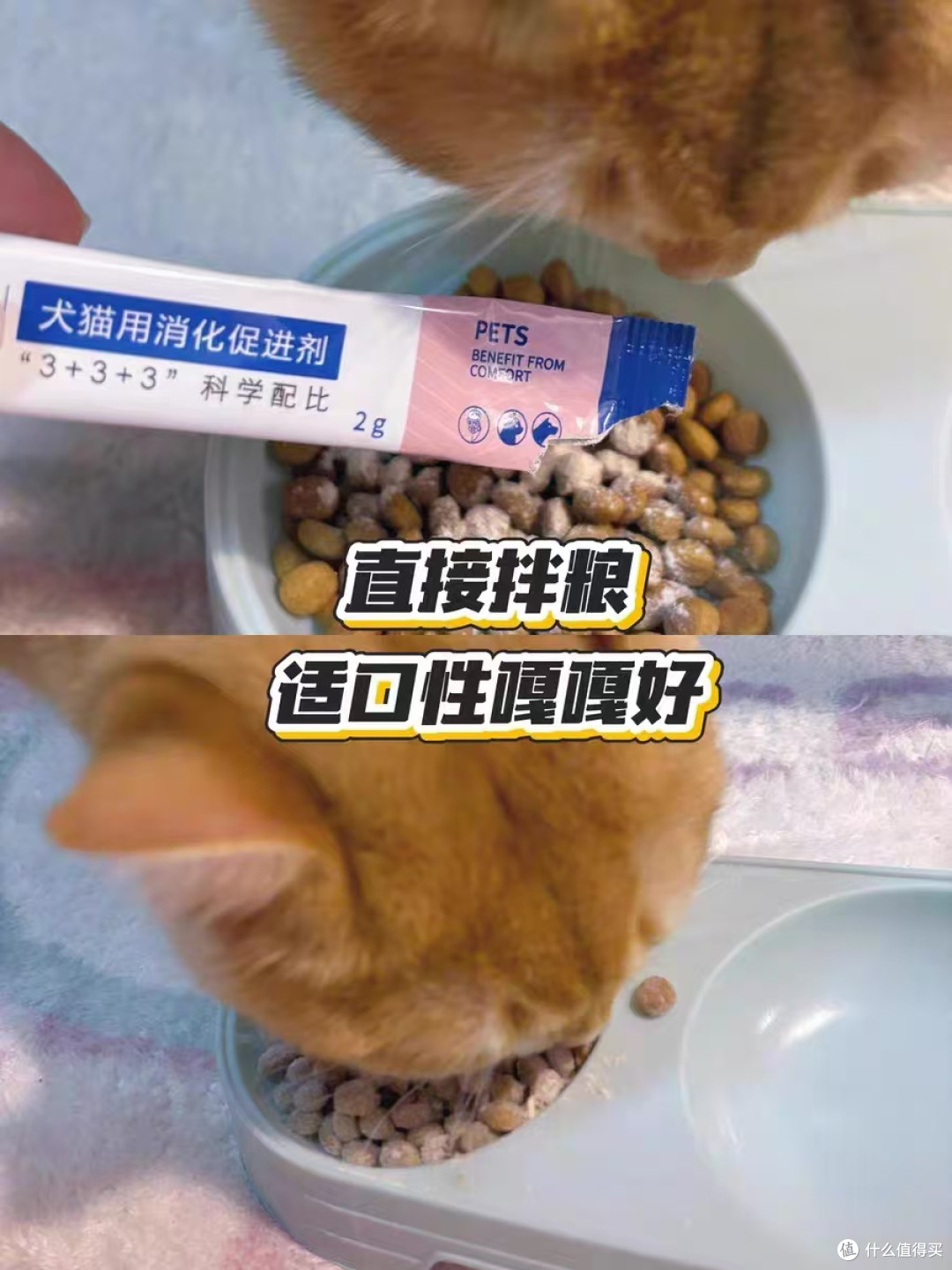 优养猫益生菌 + 宠物胰酶｜养宠家庭肠胃救星