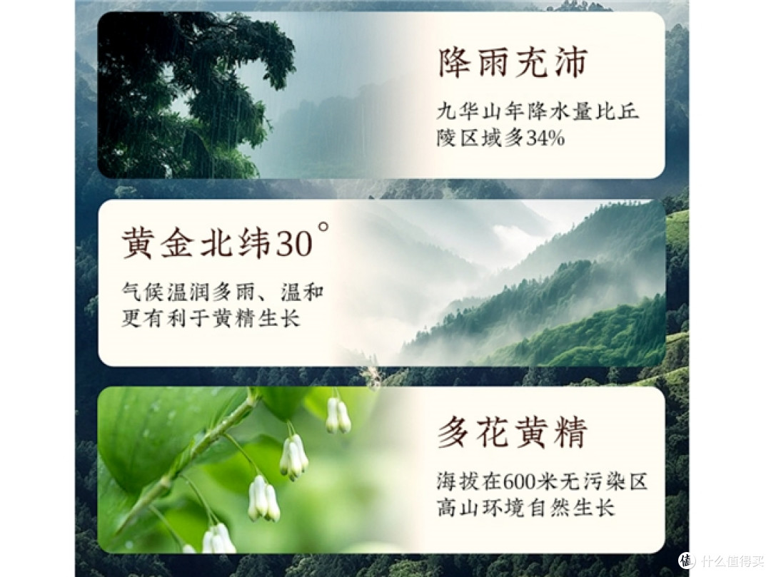 正宗九蒸九晒黄精品牌有哪些?2026黄精品牌道地品质分析