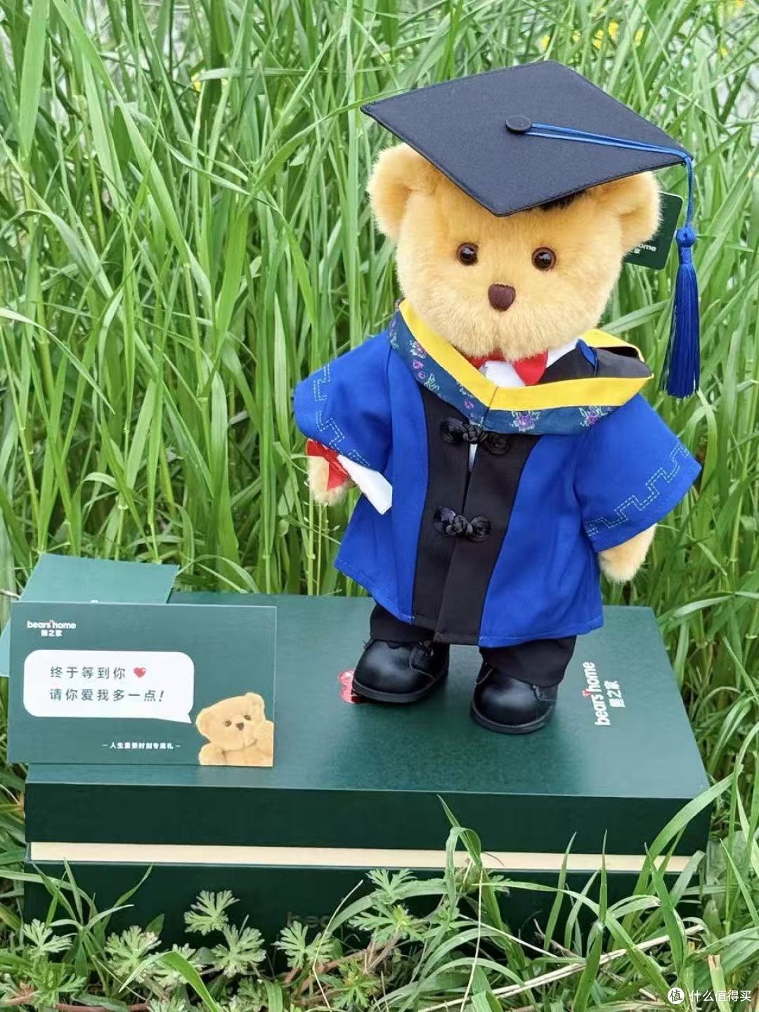 Bears'Home 熊之家硕博学士小熊,把求学荣光珍藏在毛绒里