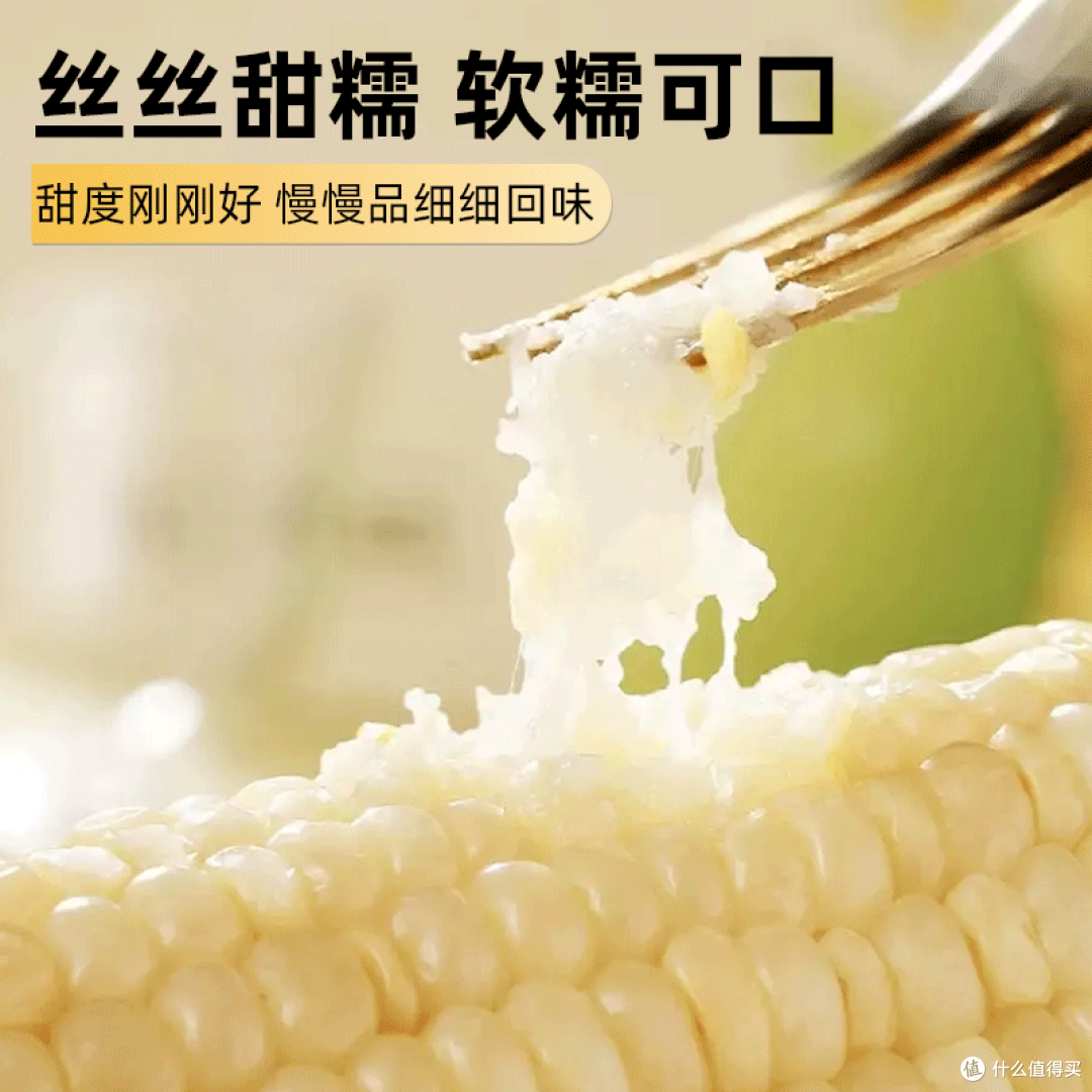 软糯拉丝!这根东北白糯玉米,一口吃出童年味道