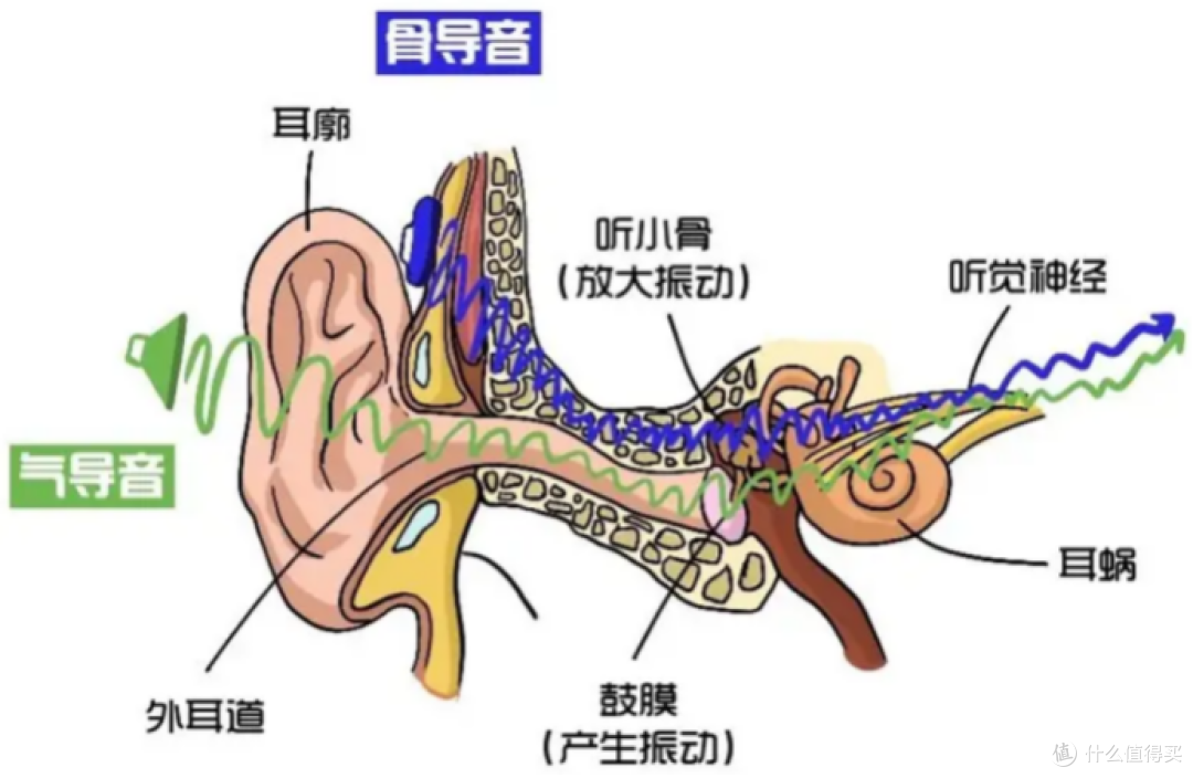 开放式耳机到底好在哪?618五款开放式挂耳耳机实测