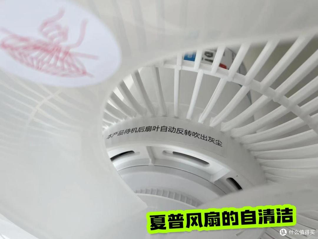 2026年夏天,落地风扇怎么选?5款300元档直流变频落地扇横测推荐