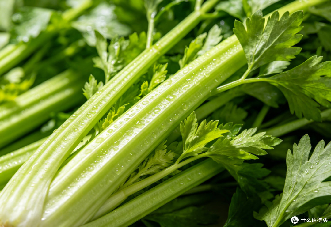 夏天放心吃!8种天生“抗虫”时令蔬菜,不用打农药,鲜嫩营养