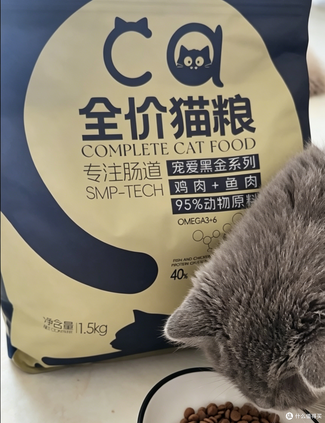2026 预防黑下巴国产猫粮盘点|7 款热门口粮实测 铲屎官按需挑选