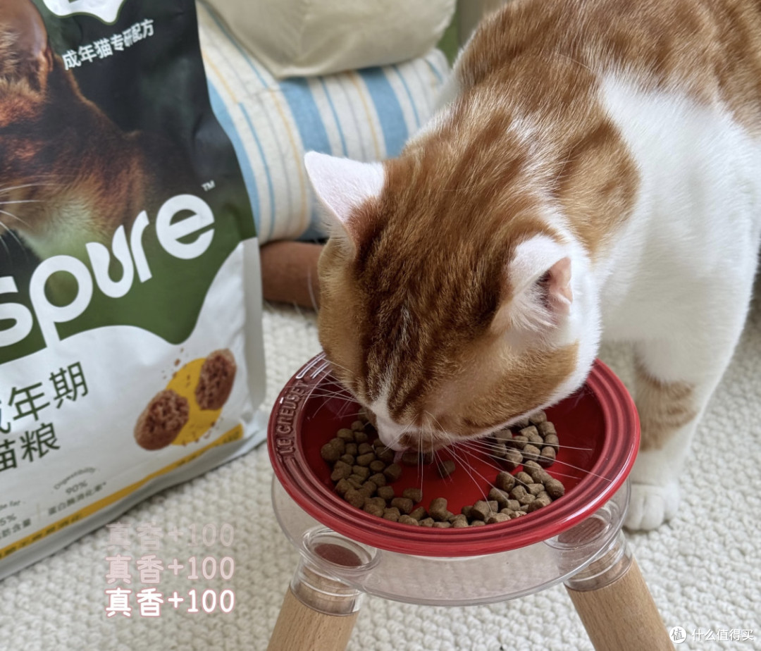 猫粮界的“国家宝藏”:贤纯鲜蒸猫粮到底值不值得买?