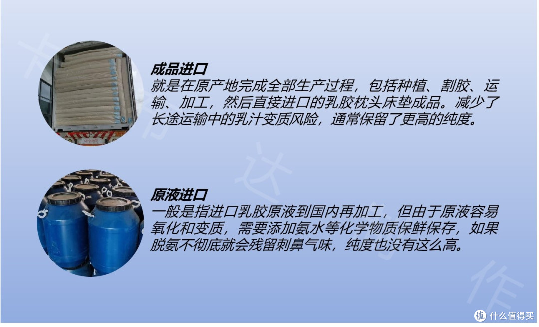 邓禄普VS特拉雷,乳胶哪种工艺好?怎么辨别真假乳胶?