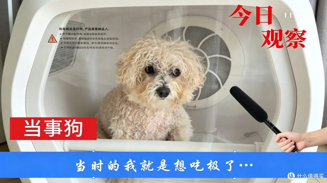 一根肉干就能拿捏？看智能烘干箱如何治愈小狗的“洗澡恐惧症”