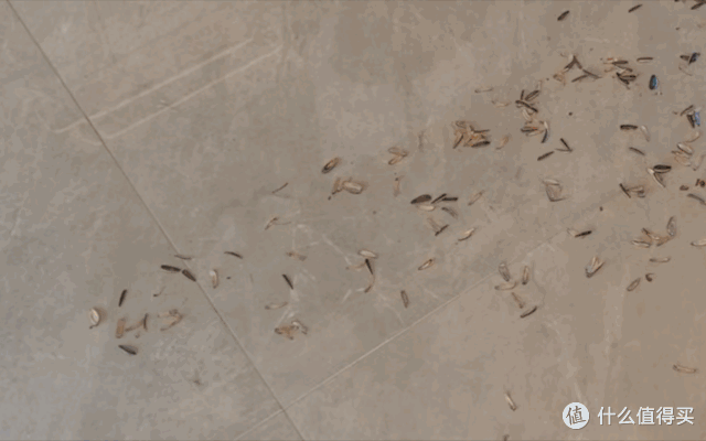 180℃高温蒸汽能瞬间灭活哪些菌?石头蒸汽洗地机实测分享