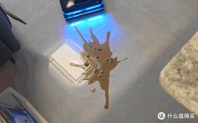 180℃高温蒸汽能瞬间灭活哪些菌?石头蒸汽洗地机实测分享