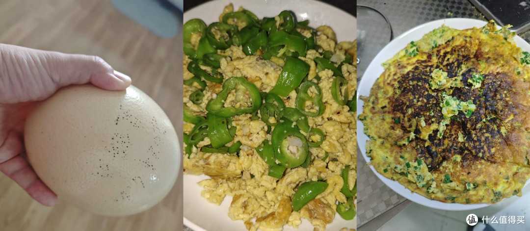从巨型蛋到家常菜|夏日开胃鸡蛋料理,保姆级教程!