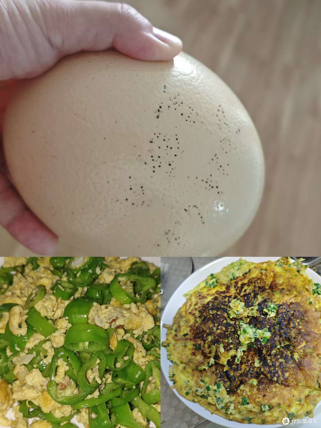 从巨型蛋到家常菜|夏日开胃鸡蛋料理,保姆级教程!