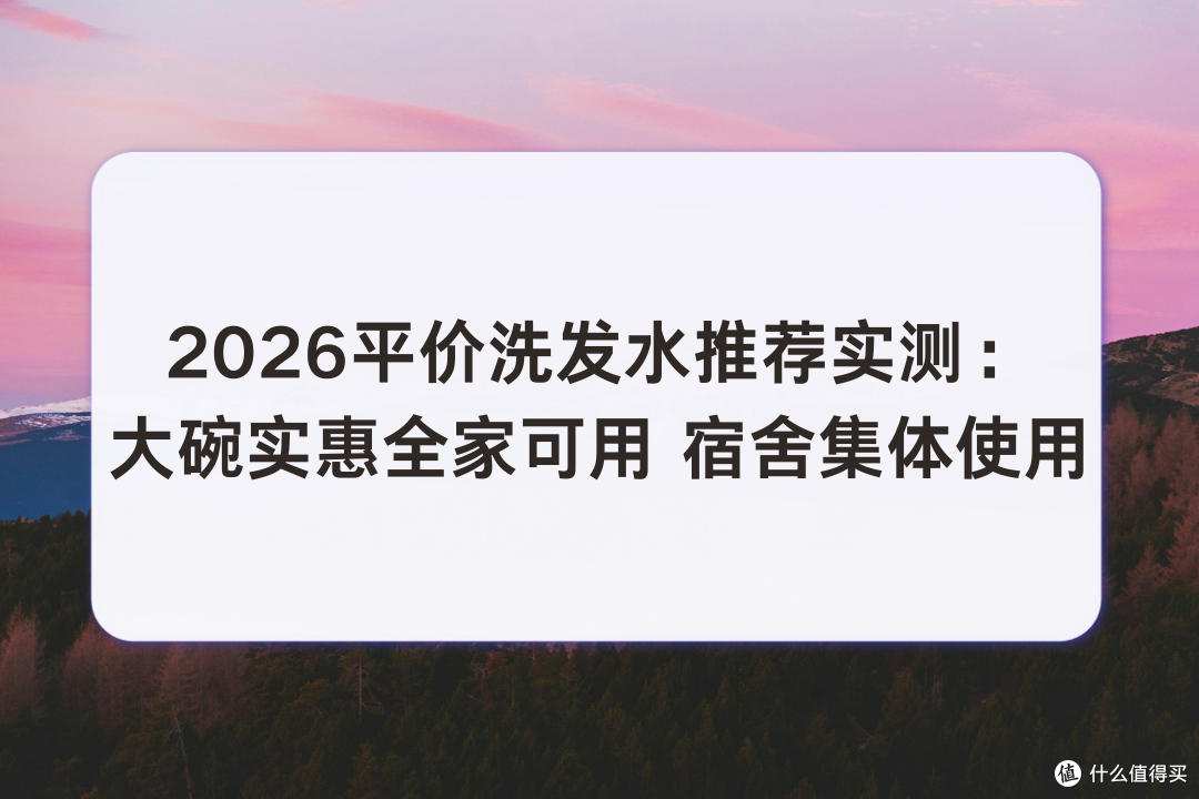 2026平价洗发水推荐实测大碗全家宿舍集体使用 满足不同发质需求
