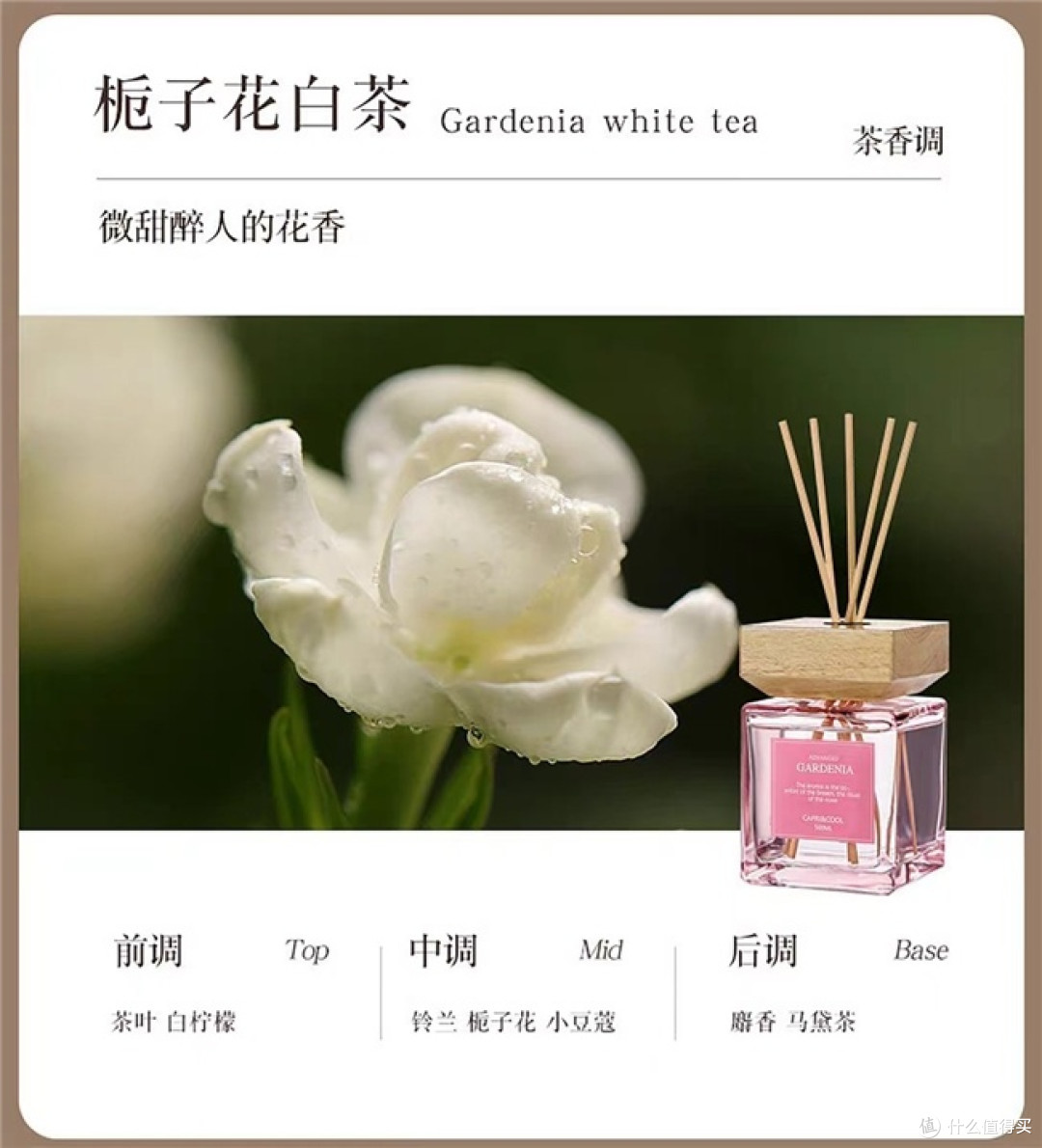 网红爆款香薰慎入,实测几款口碑香薰,真实好用才是硬道理