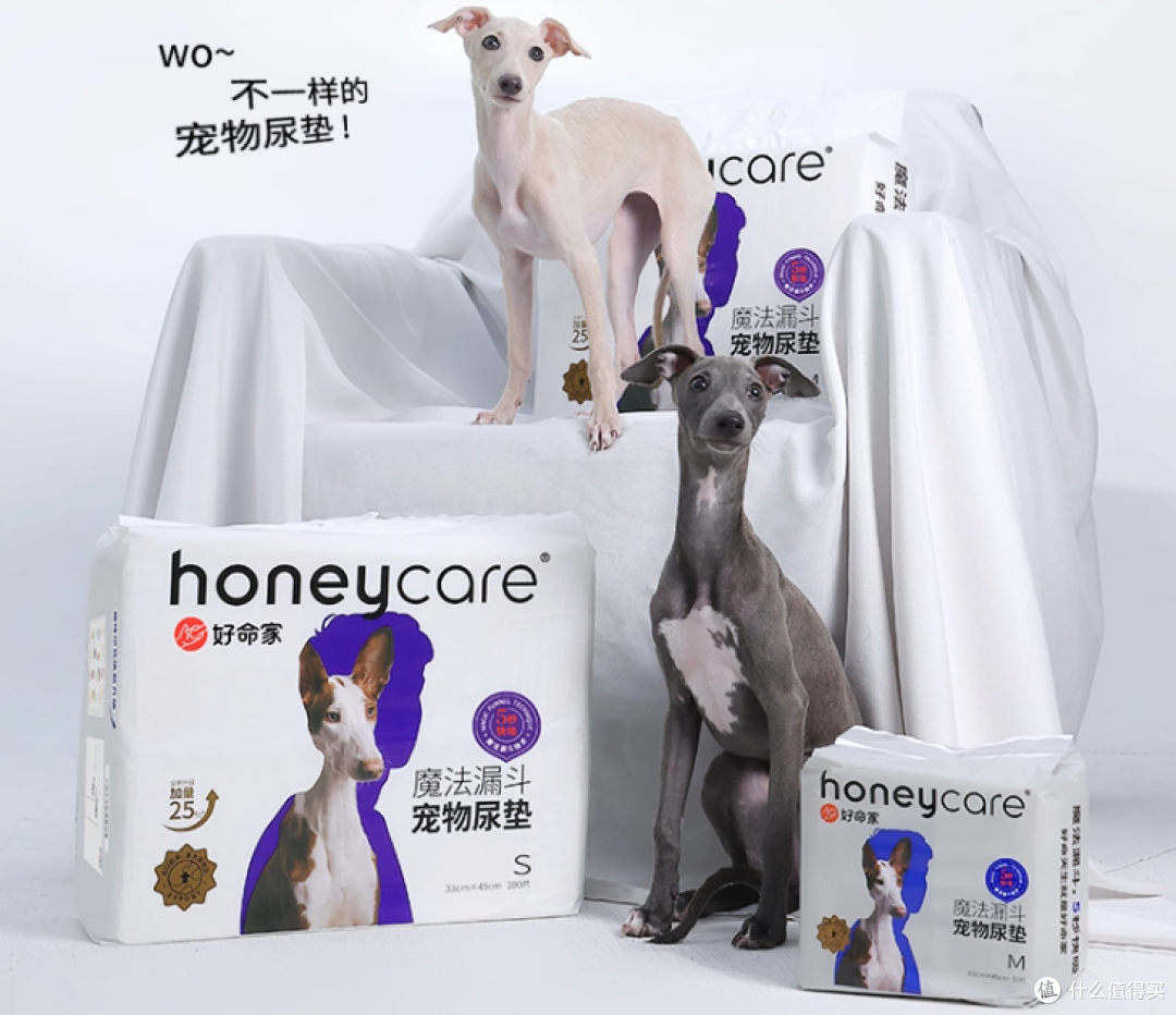 宠物尿垫哪个牌子好?2026年除臭抗菌真实体验分享