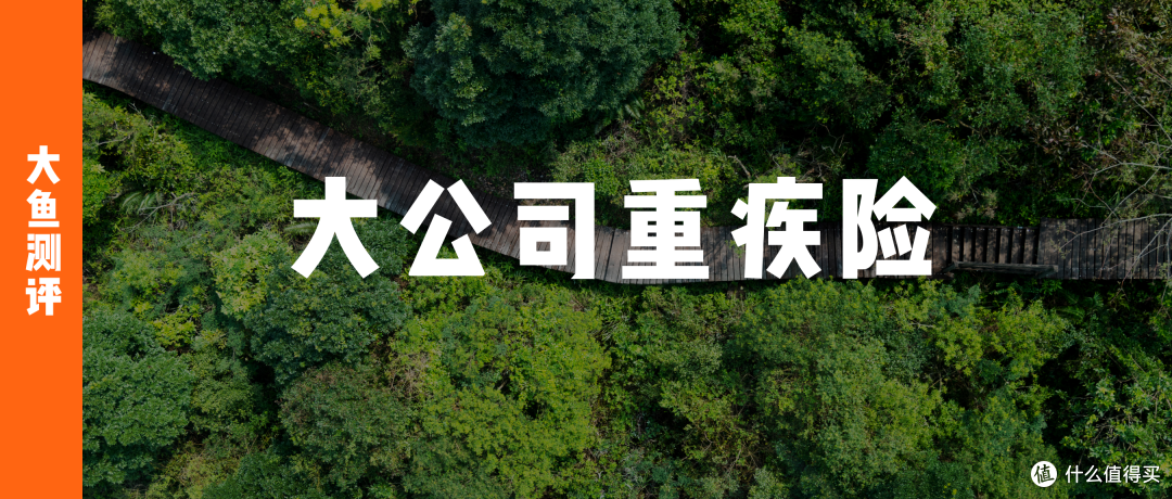 大鱼测评第1584篇原创