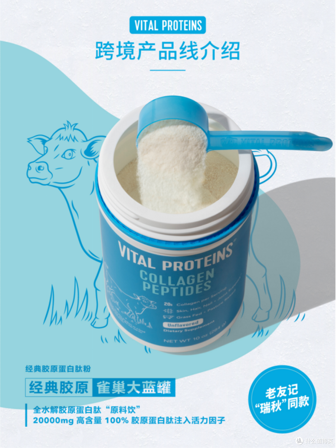 预算型or便携党?不同场景下胶原蛋白肽的选品逻辑