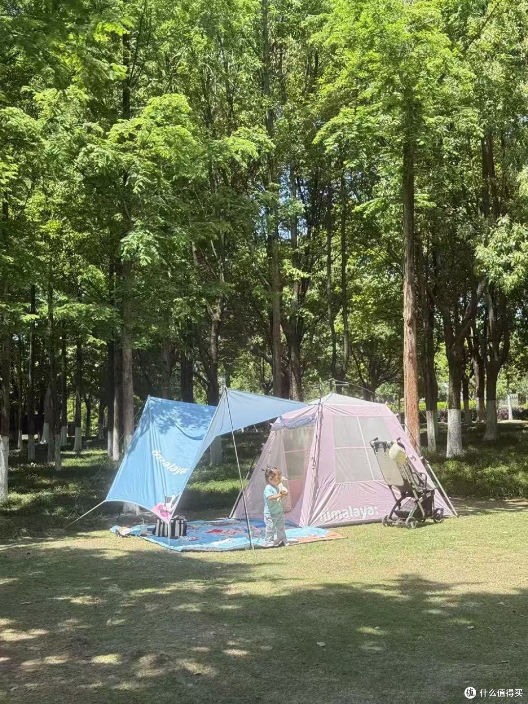 亲子露营封神装备✨新手零踩坑的喜马拉雅速开帐篷天幕