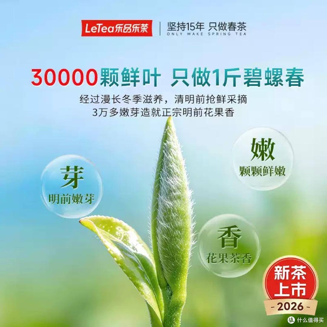 🍵 乐品乐茶碧螺春|2026 新茶上市!3 万颗芽尖做 1 斤