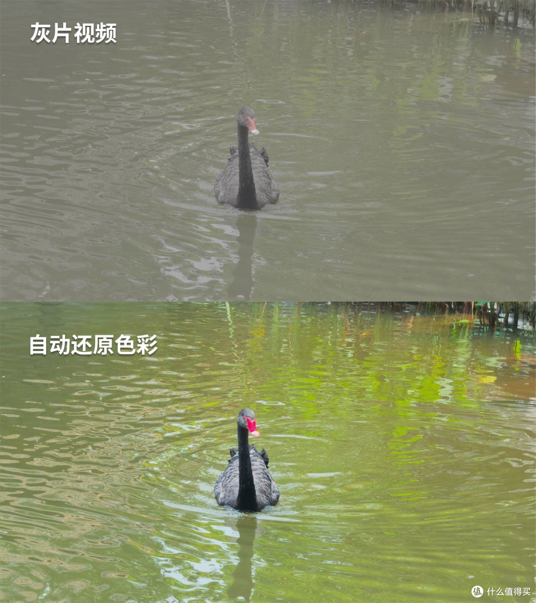 如何还原Log模式视频？从手机到电脑的全平台调色技巧