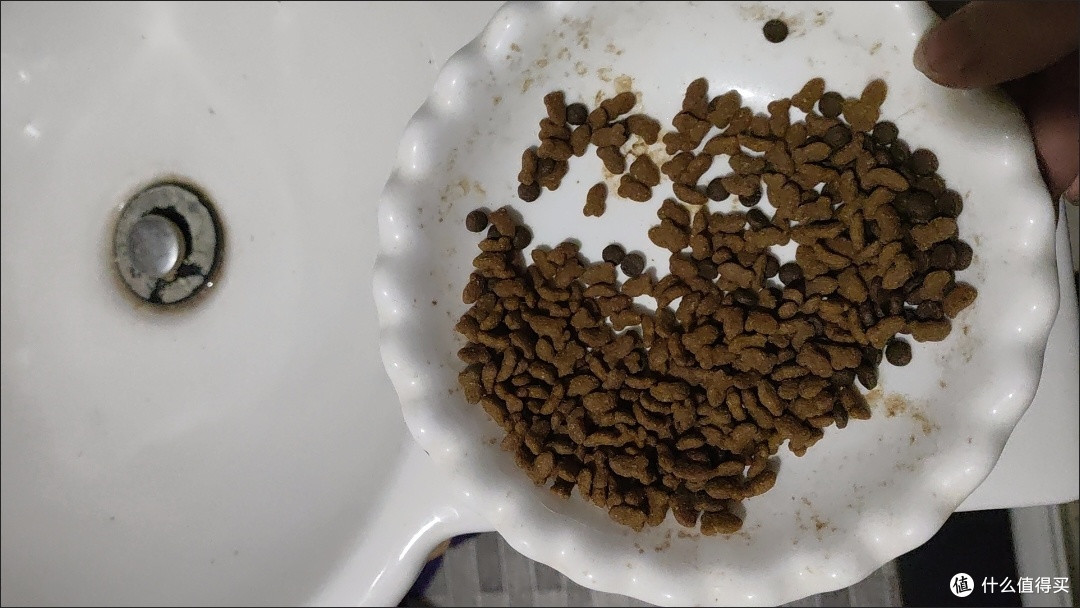 实用养猫好物分享:无谷猫粮与软头梳