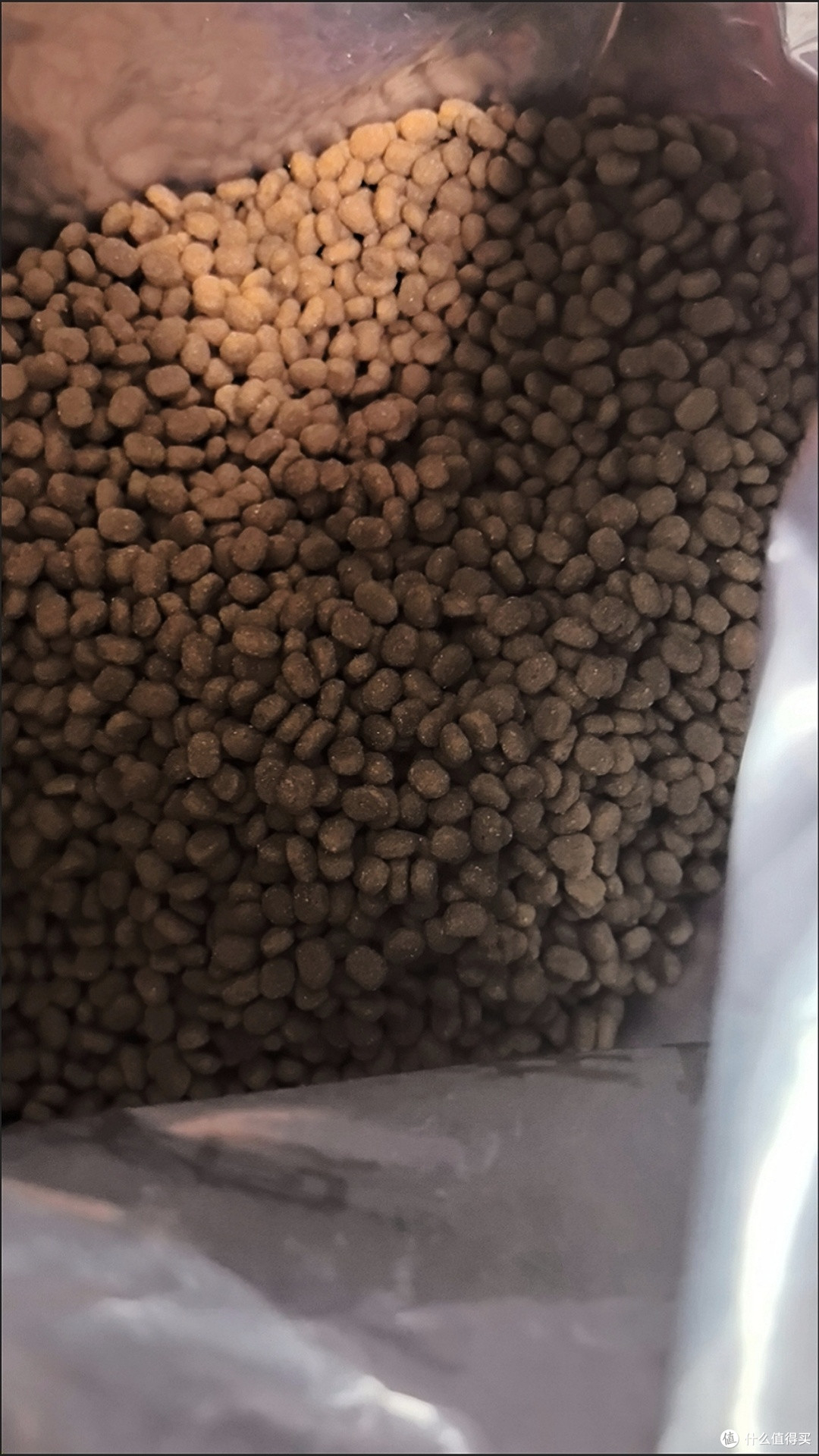 实用养猫好物分享:无谷猫粮与软头梳