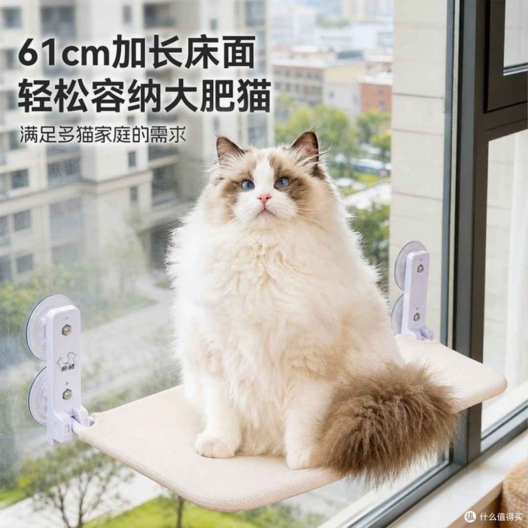 花一百块,买回我家猫的“豪宅”