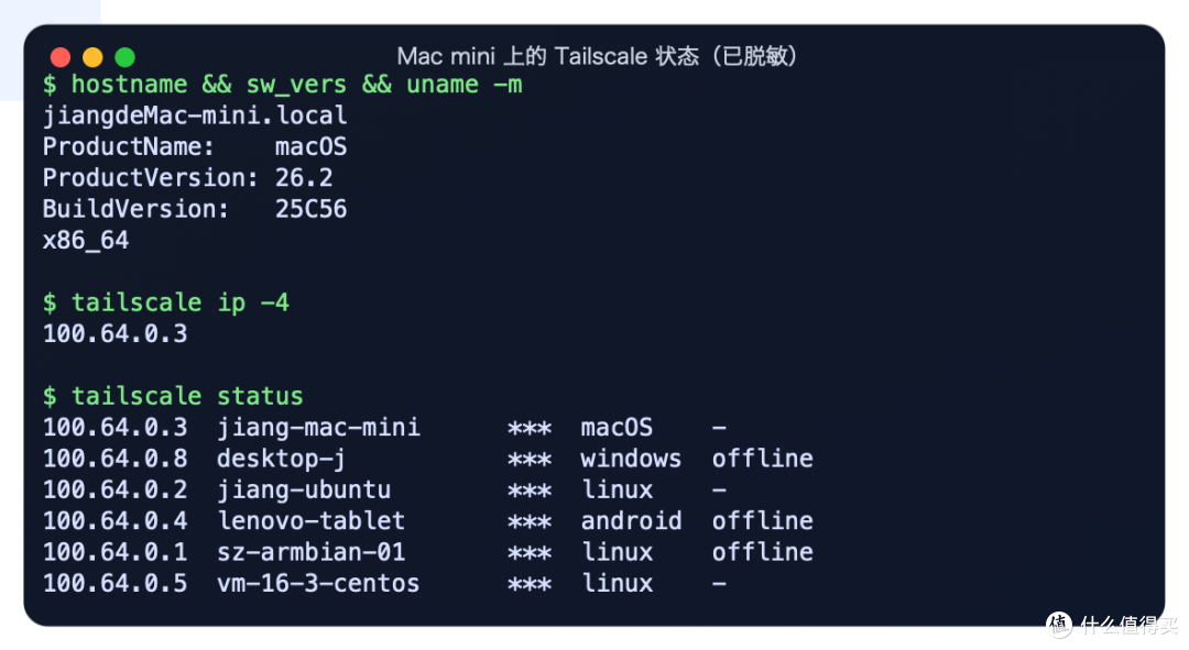 丢掉向日葵,Tailscale 更安全,把家里Macmini、NAS变成私有内网