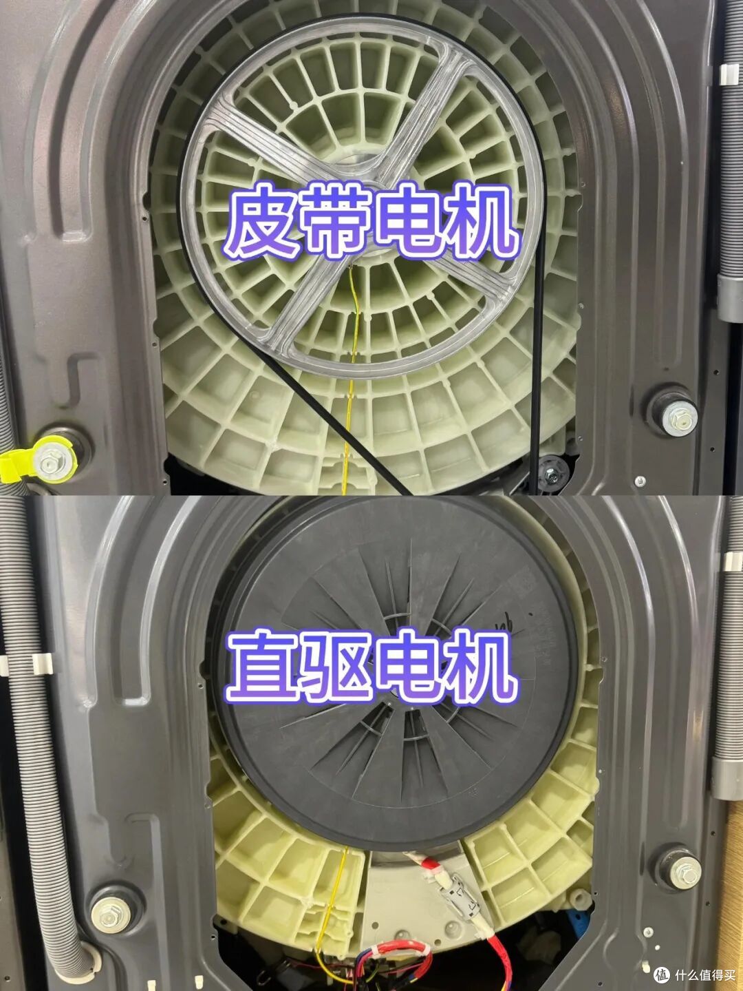 专为中国市场“特供”,买这5种家电就是“人傻钱多”