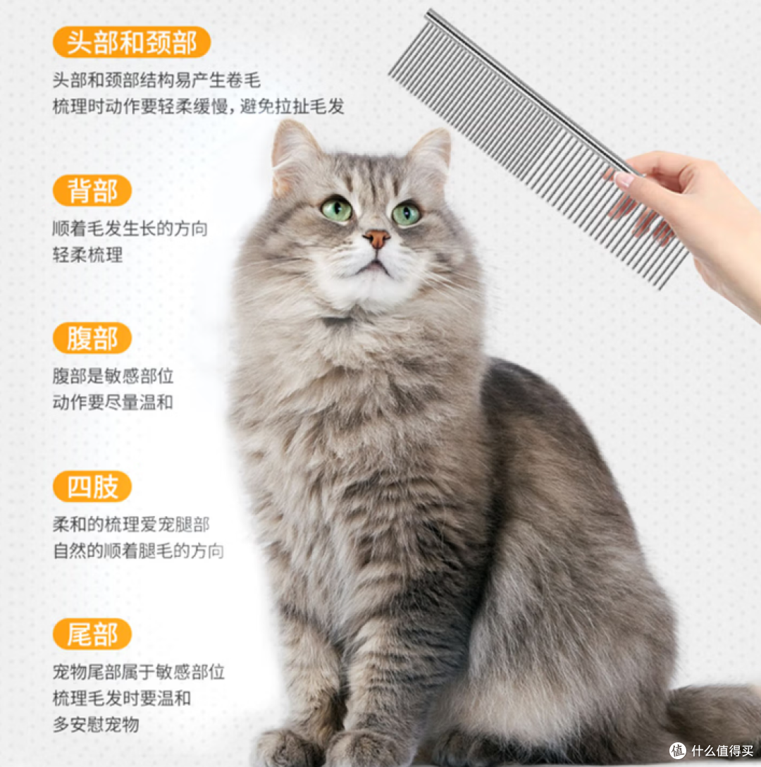 看似天天躺平,我家猫咪其实最懂过日子