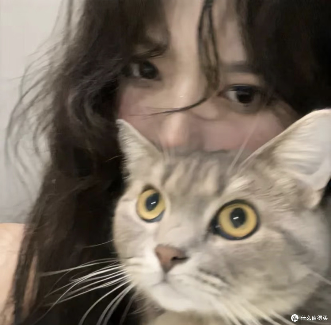 小猫慢悠悠的生活哲学