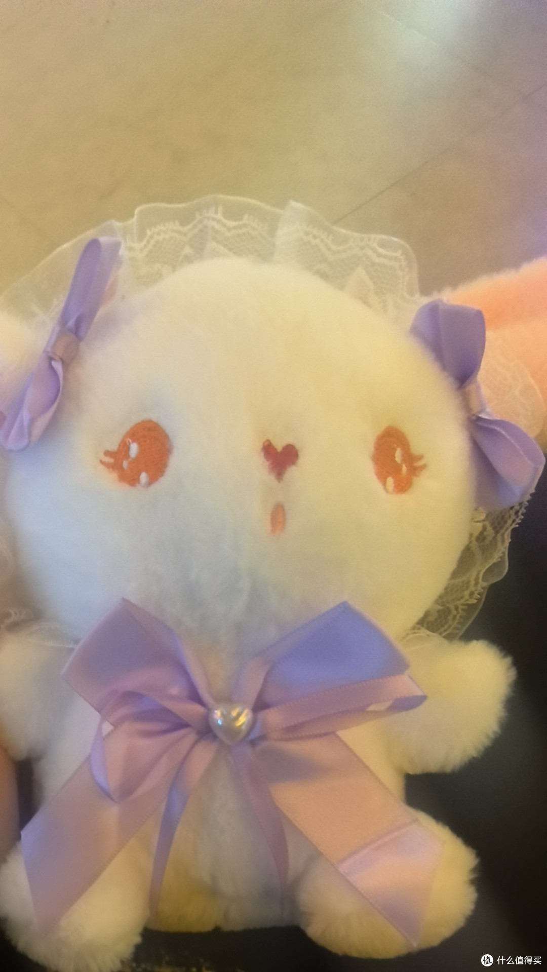 小猫慢悠悠的生活哲学