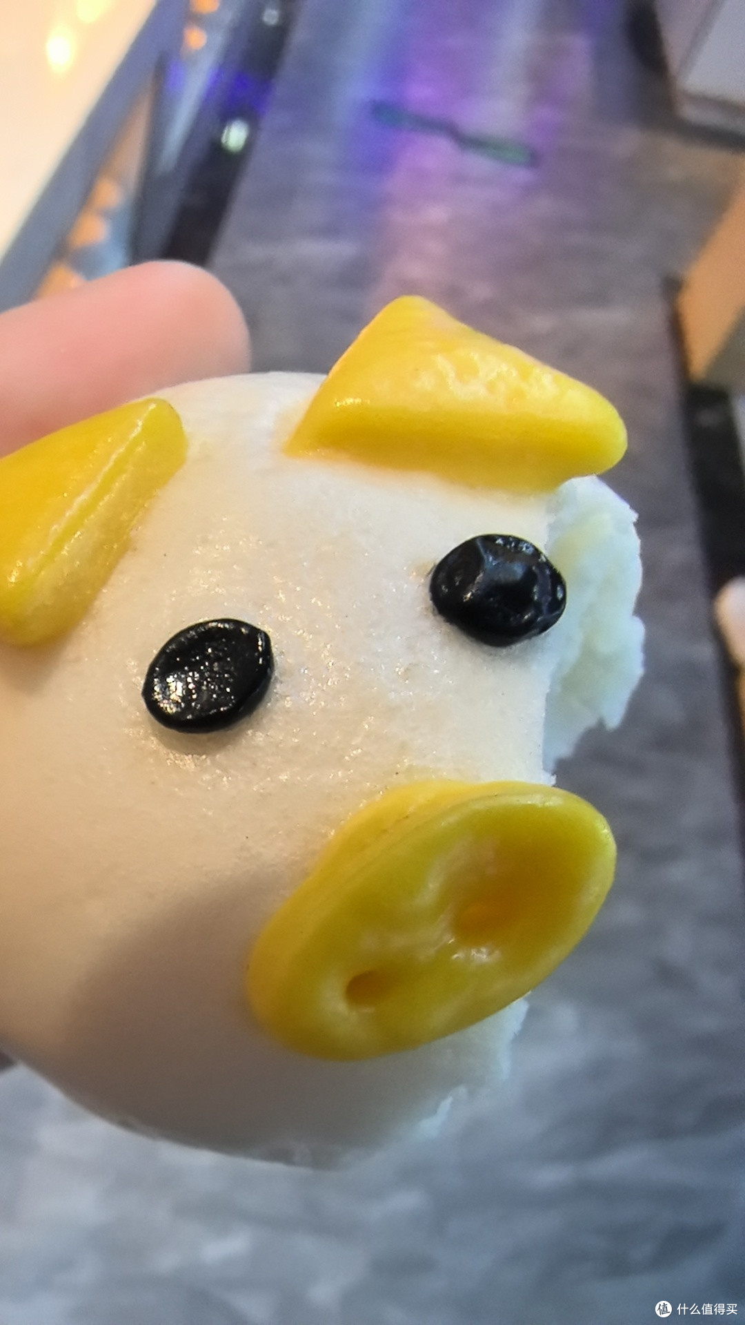 小猫慢悠悠的生活哲学