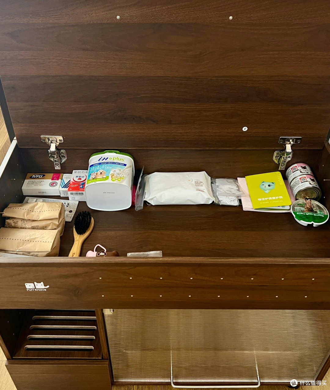 科学养猫:专属餐具与定制玩具
