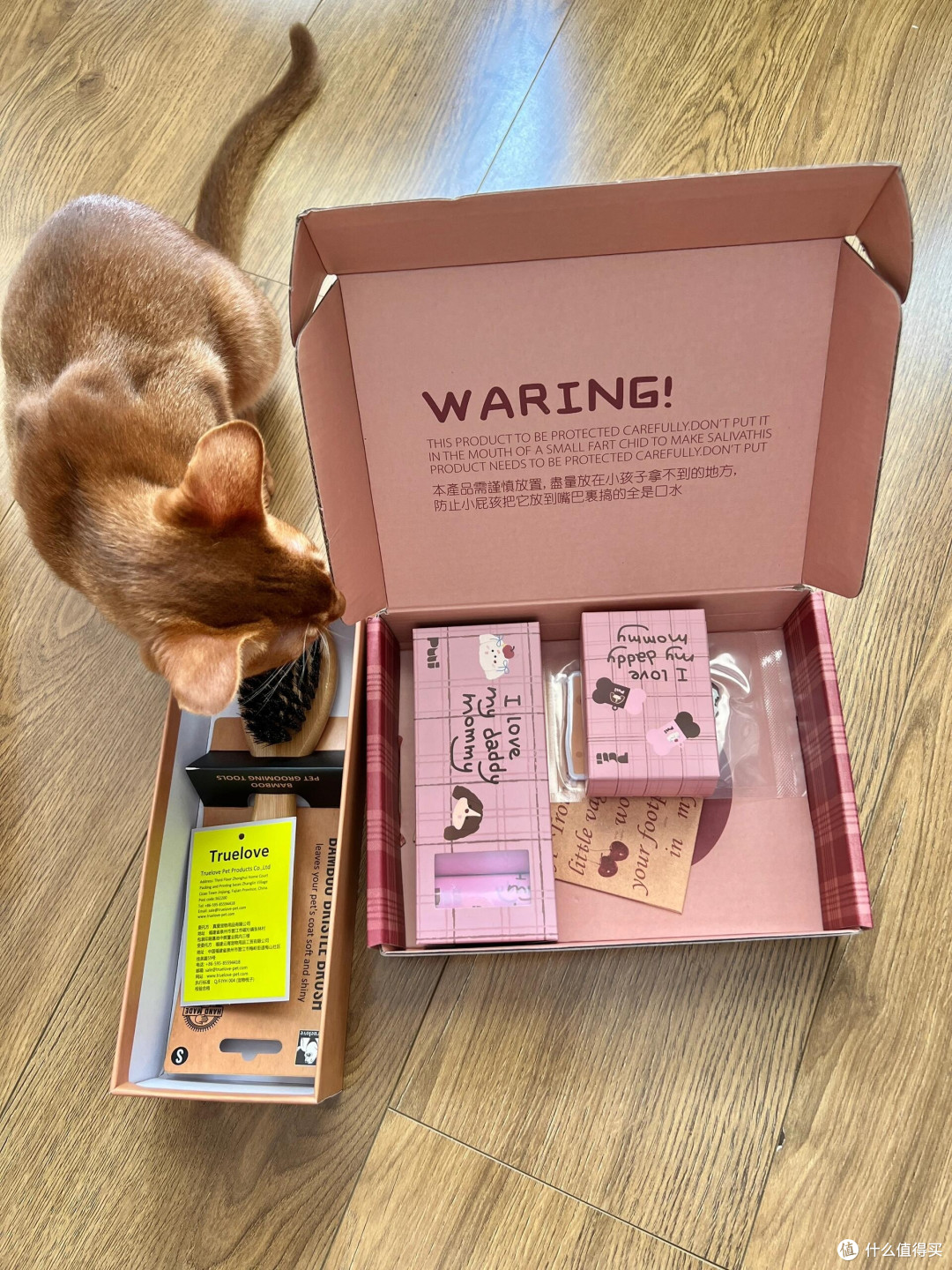 科学养猫:专属餐具与定制玩具