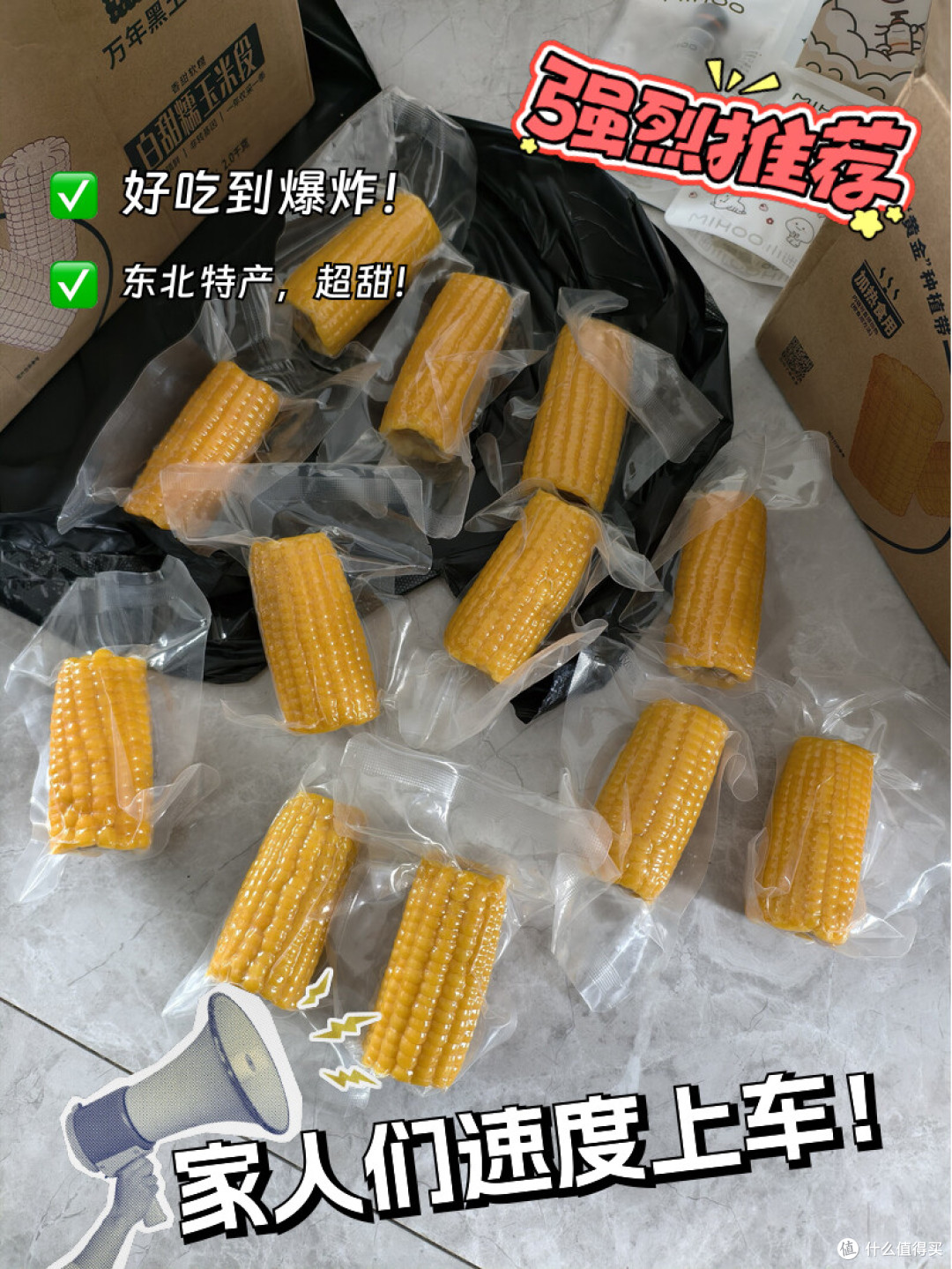 🌽 源自北纬47°,造就“黑土地贵族”基因