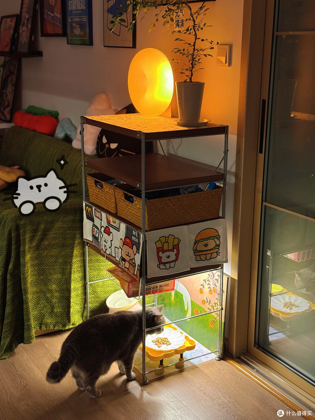 科学养猫：从基础到精细