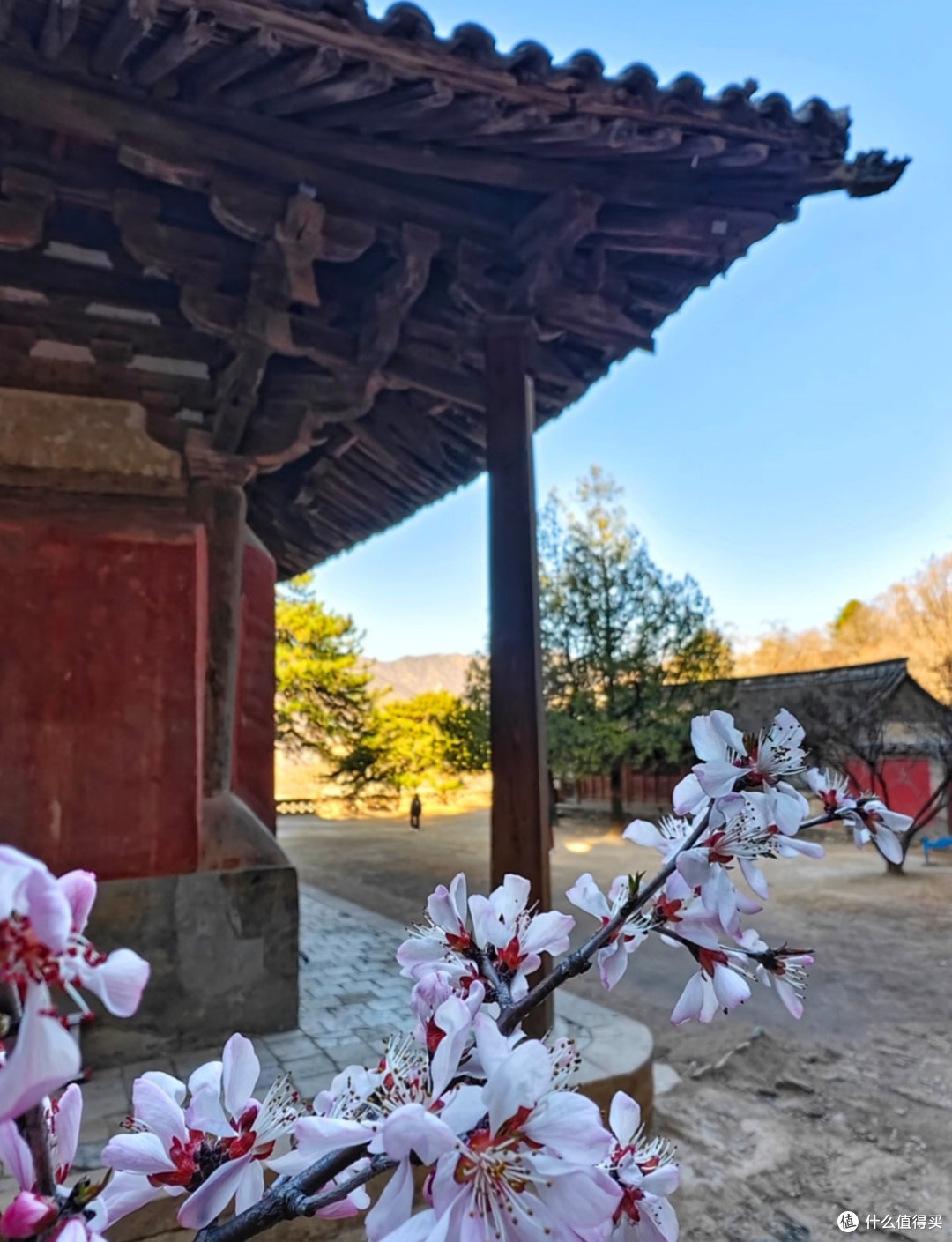 被低估的山西宝藏|佛光寺全攻略,打卡中国仅存的唐代木构