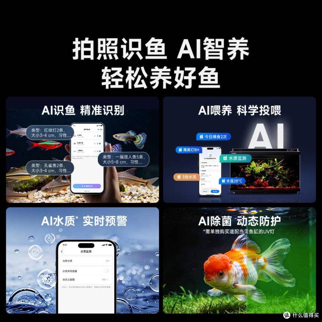 养鱼能不能治愈孤独？世界杯熬夜亲测当贝鱼缸2S Ultra