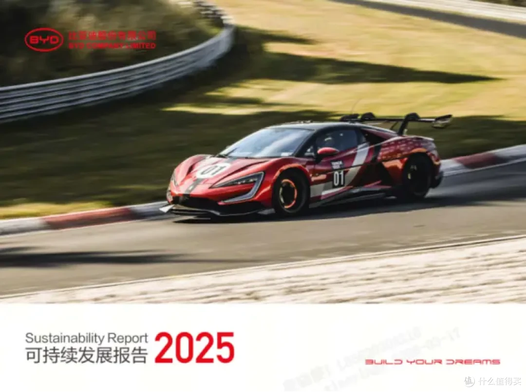 发布ESG报告、参与制定全球汽车标准，比亚迪锚定200年后绿色承诺