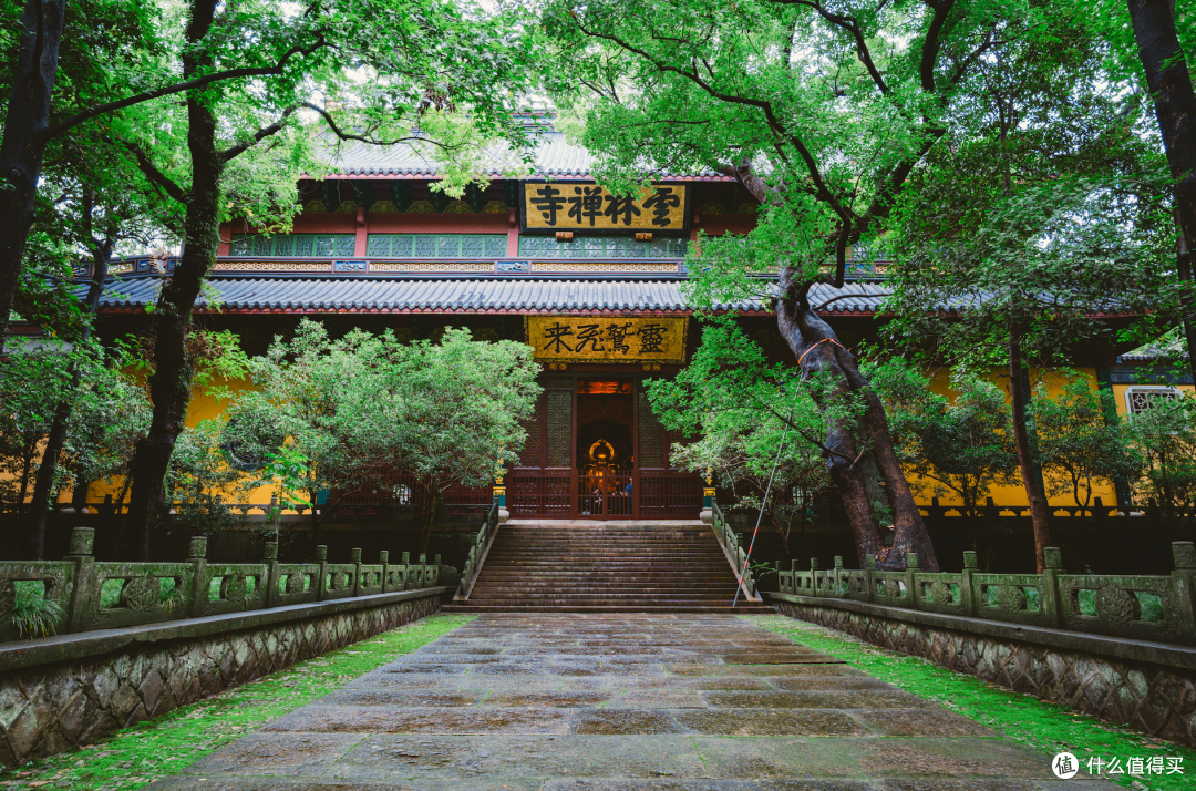 茶园中醒来,松林里入睡。今天是这家火了十多年的酒店