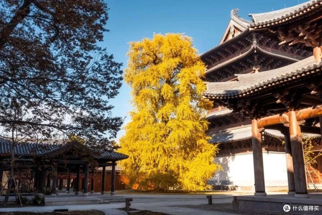 坐船入住的江南,玩水避暑天花板!
