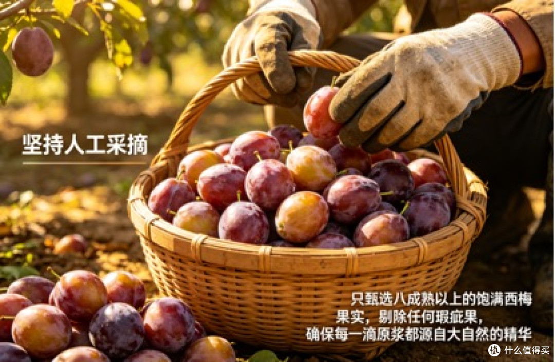 西梅汁哪个牌子改善小腹胀气好用？实测缓解胀气的有效选品攻略！